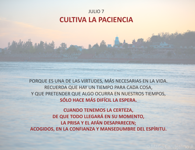 Cultiva la paciencia